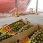 Costa Rican exports up 2.2 percent in last year