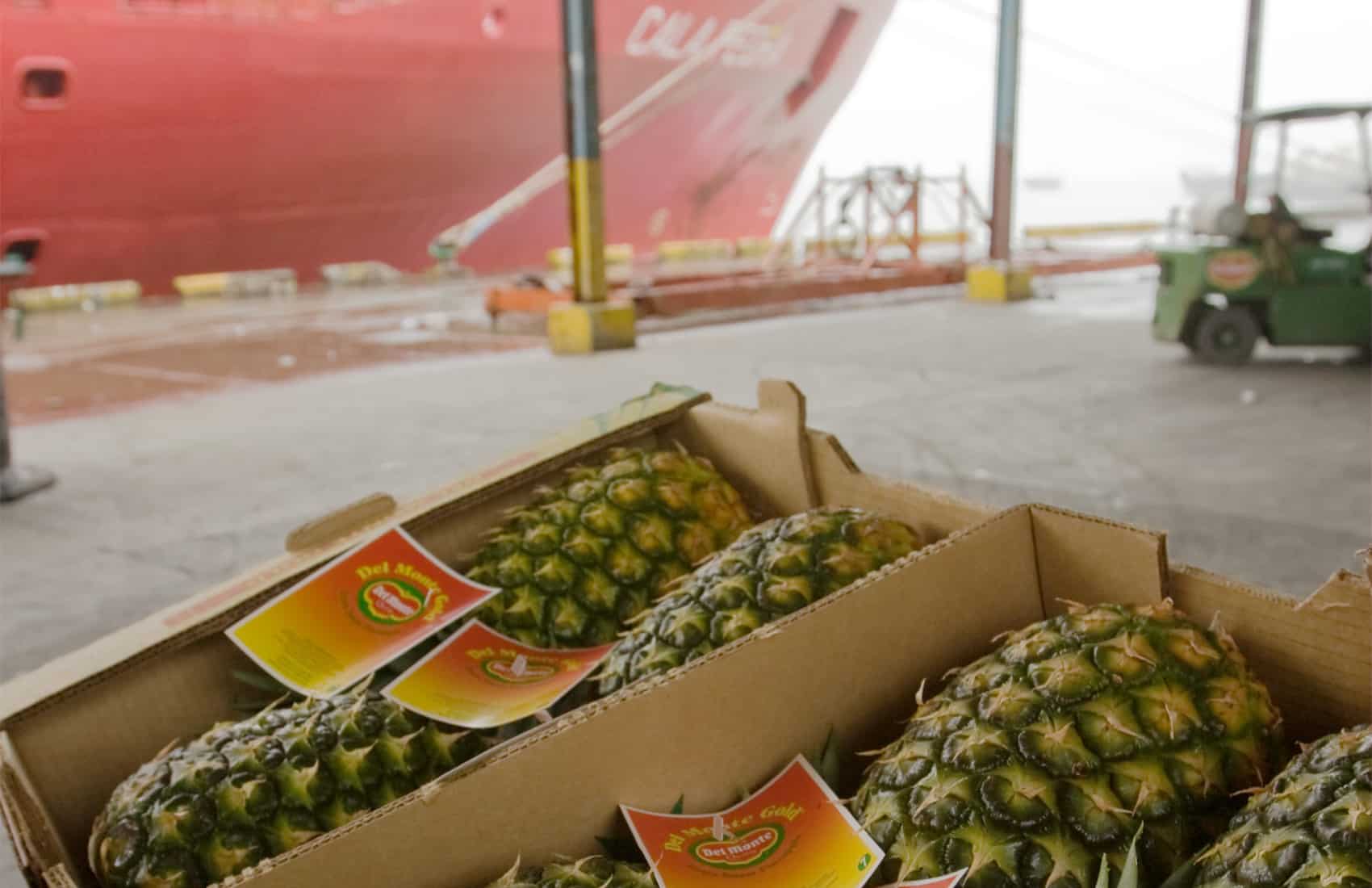 Costa Rican exports up 2.2 percent in last year The Tico Times Costa Rica News Travel