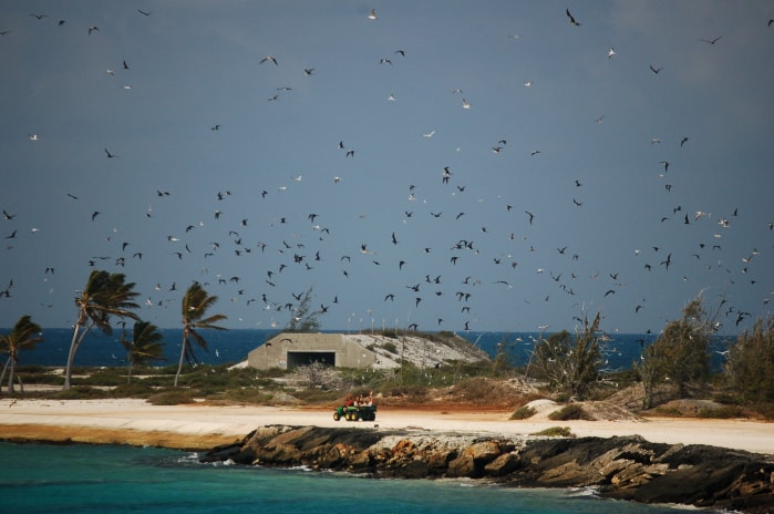 U.S. Fish and Wildlife Service