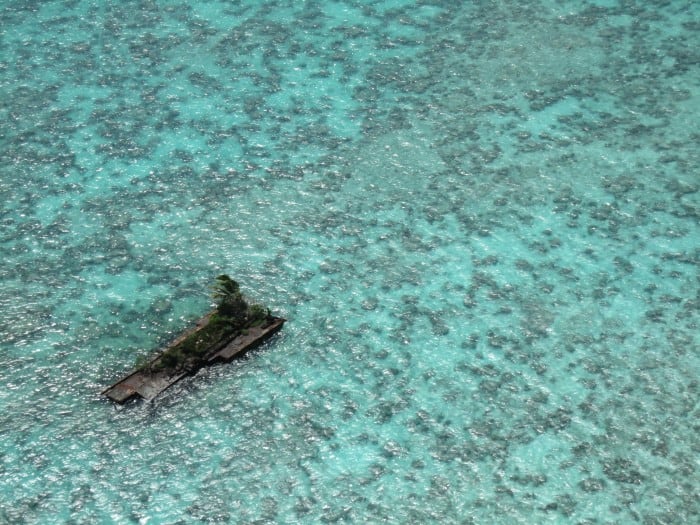 Graeme Gale/Island Conservation