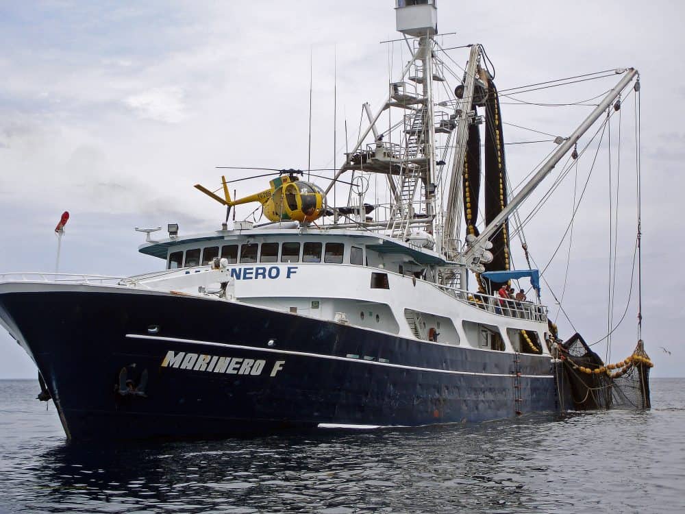 Costa Rica: Tuna company, fishermen and environmental 