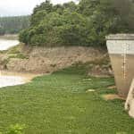 Costa Rican Electricity Institute rules out blackouts in coming months