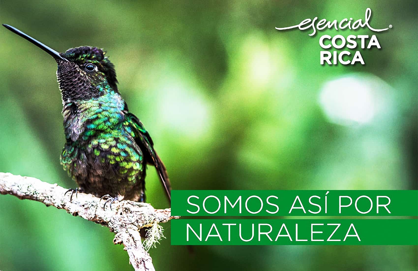 Tourism officials approve first licenses for use of country brand