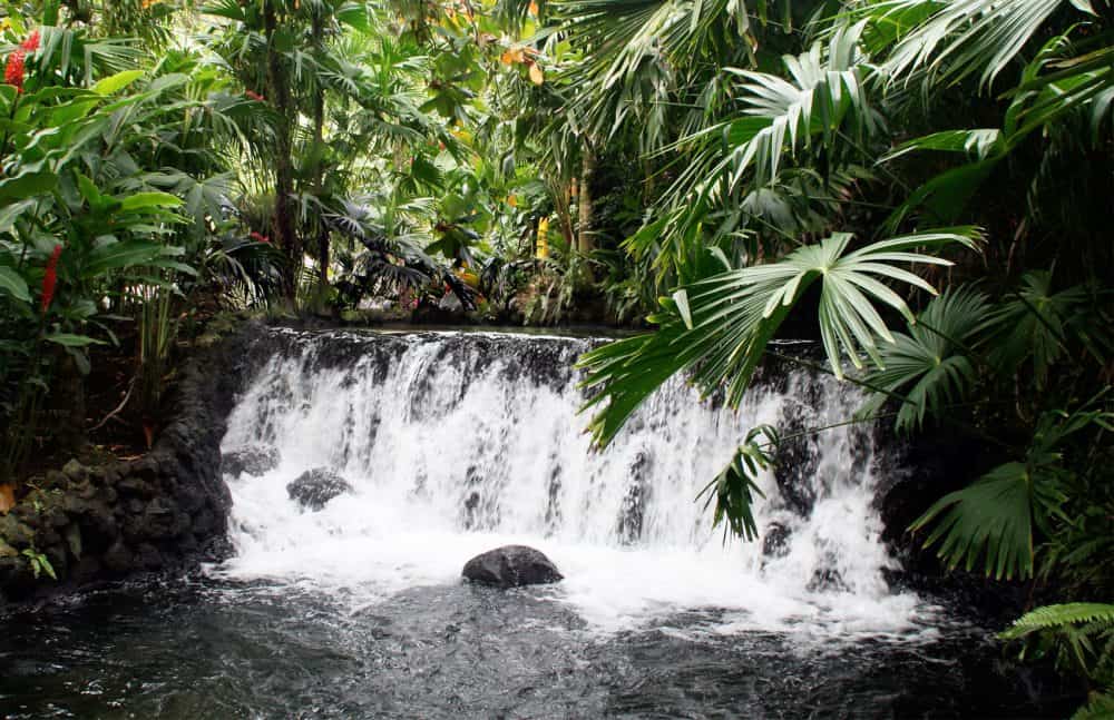 Florida child dies after contracting amoeba from Costa Rican hot