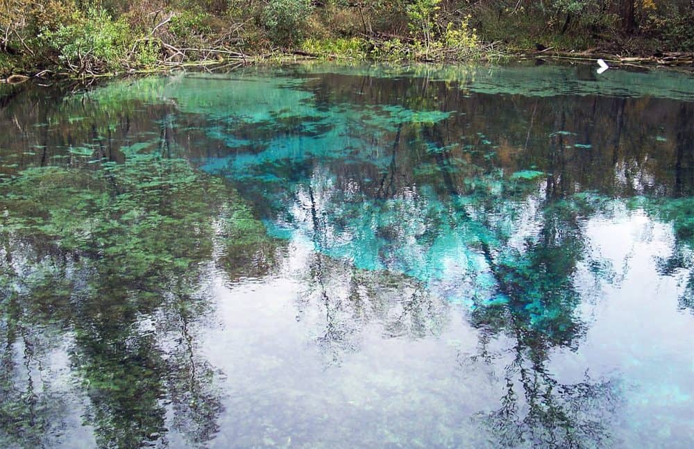 Florida child dies after contracting amoeba from Costa