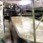 Costa Rica's industry sector leaders fed up with high electricity rates