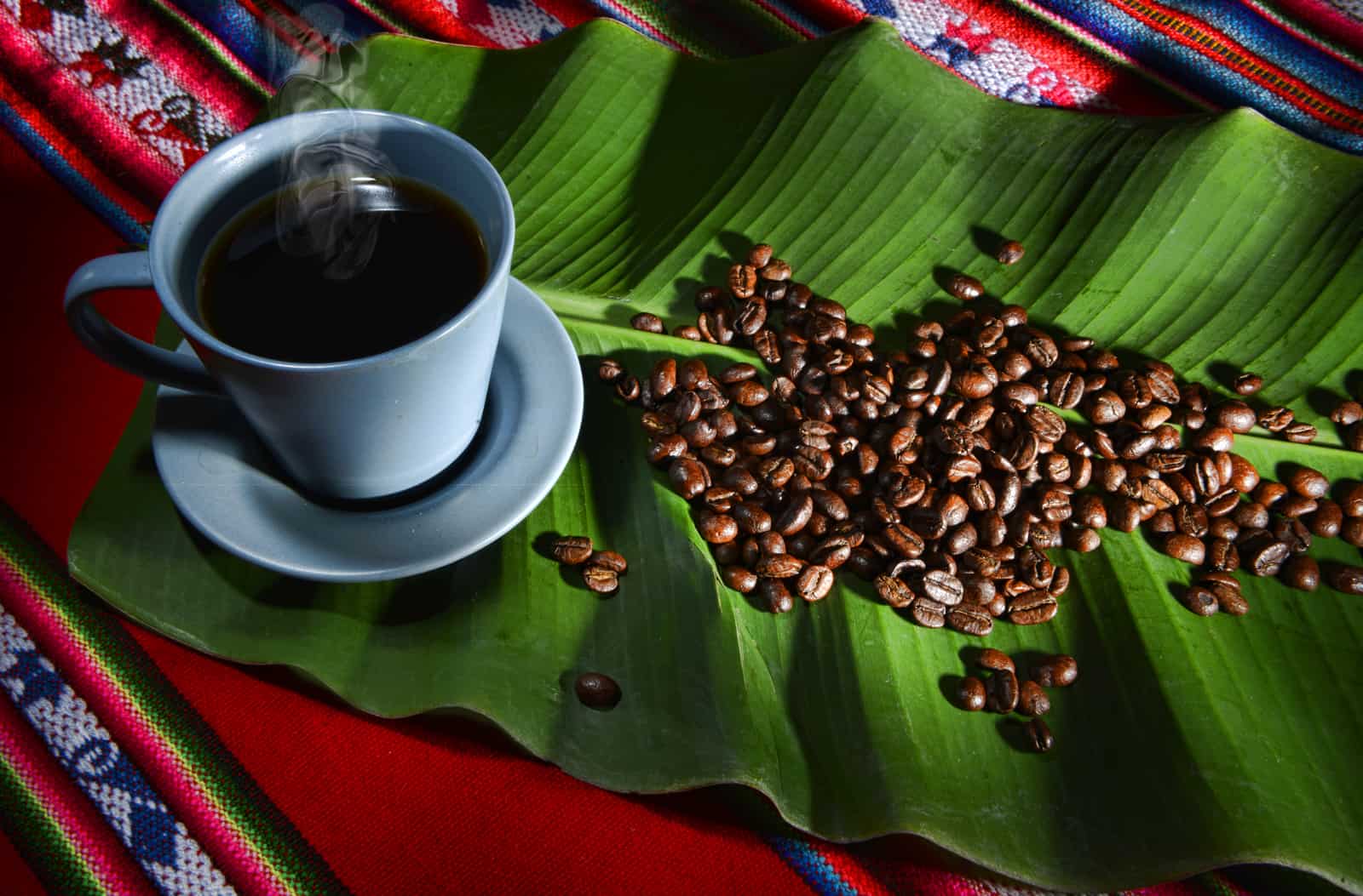 What you might not know about coffee What you might not know about coffee