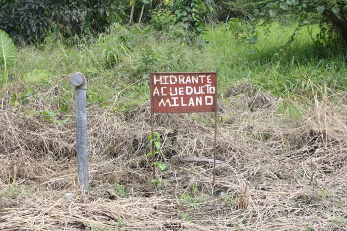 A hydrant sticks up from the Milano Aqueduct.
