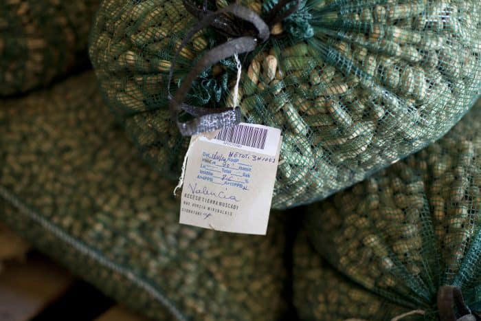 Sacks of peanuts are shown in Tierra Muscady, Haiti.