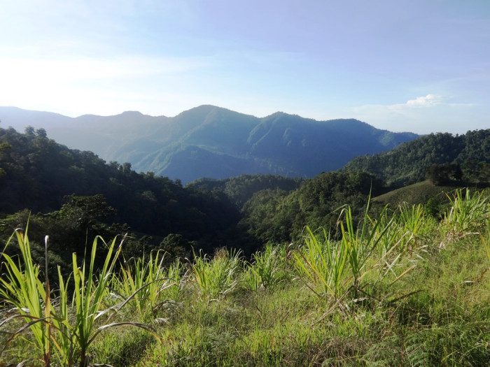 View from a finca in La Lira de Pramo, southern Los Santos District