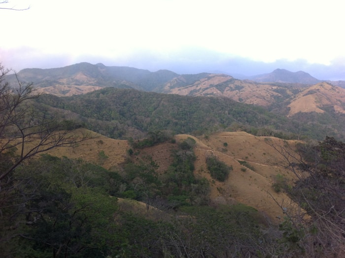 The road to Monteverde.