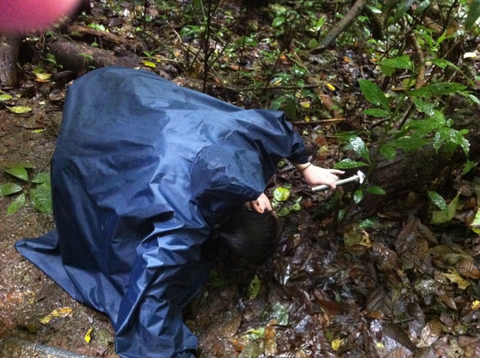 Sabrina Lewis, a nurse practitioner from Florida, peers at a tarantula inside a hollow log.