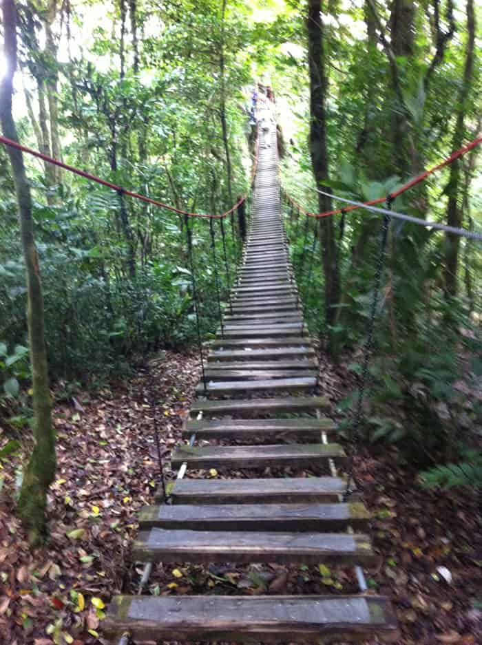 A hanging bridge designed to scare you.