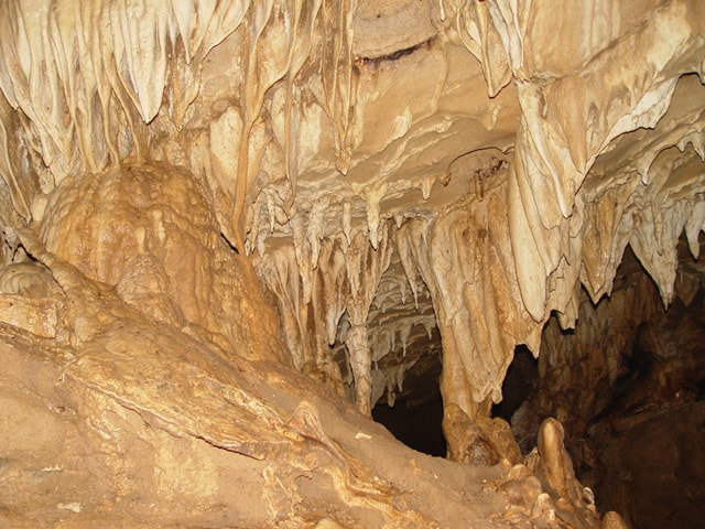 A ceiling full of stalactites.
