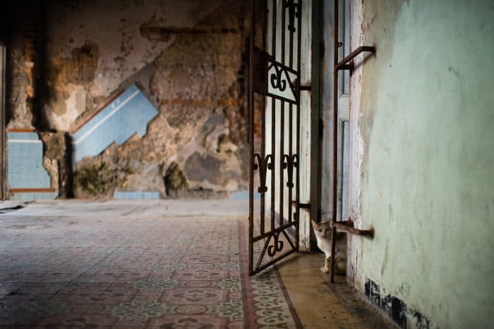 A cat peeks its head from a door of an ocean front antique house that faces The Malecón.