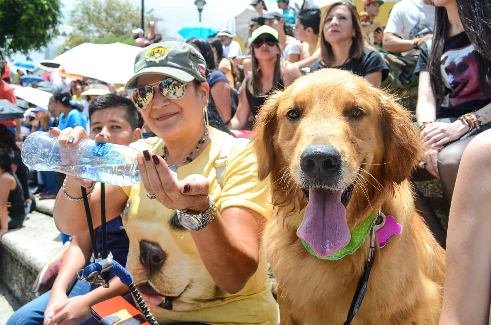 Sample Synthesis Essays A Dog Poses For A Picture Before Getting Some Water To Quench Its Thirst At The Th National March Against Animal Abuse In San Jos May How To Write An Essay In High School also Barack Obama Essay Paper Photos March Against Animal Abuse The Tico Times Costa Rica What Is Thesis Statement In Essay