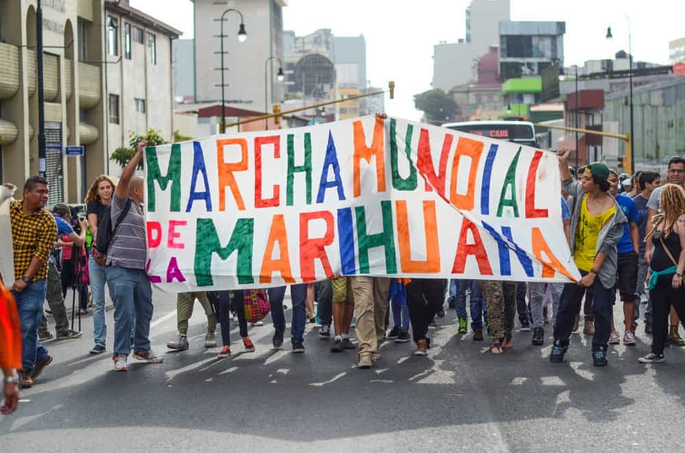 marijuana views legalization