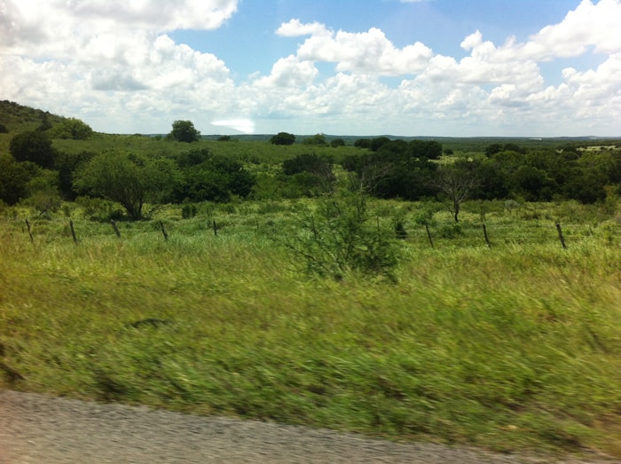 The road from Matamoros to Tampico is surprisingly green, and totally empty.