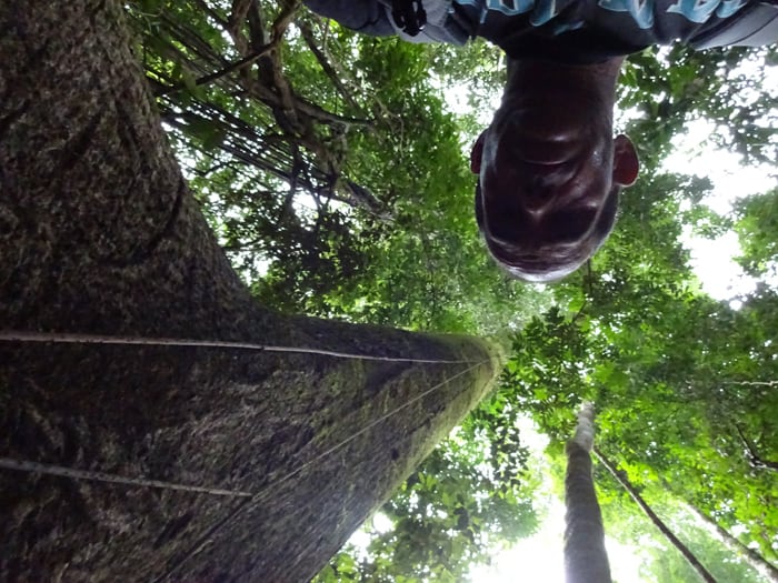 Self-portrait with big tree.