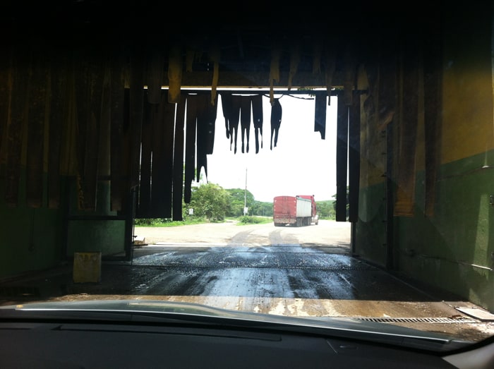 Our car passes through "fumigation."