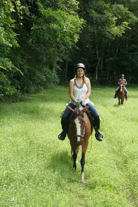 Horse tours lead through a 600-hectare farm.