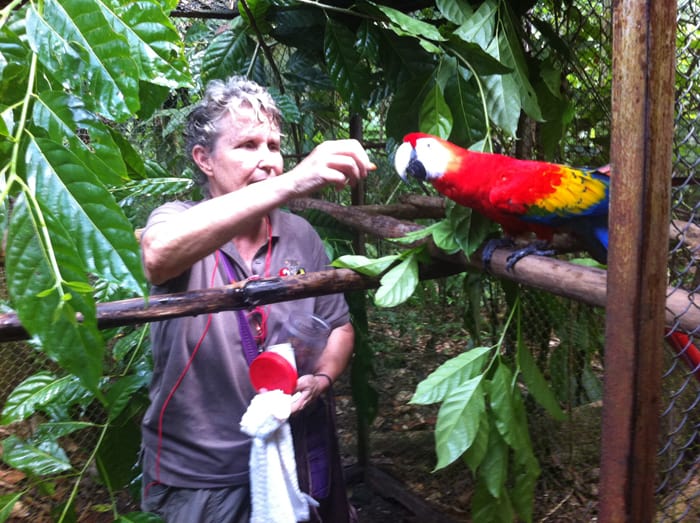 Carol Patrick offers an almond to Regalo the scarlet macaw.