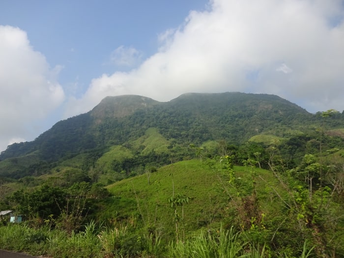The road into Chiapas.