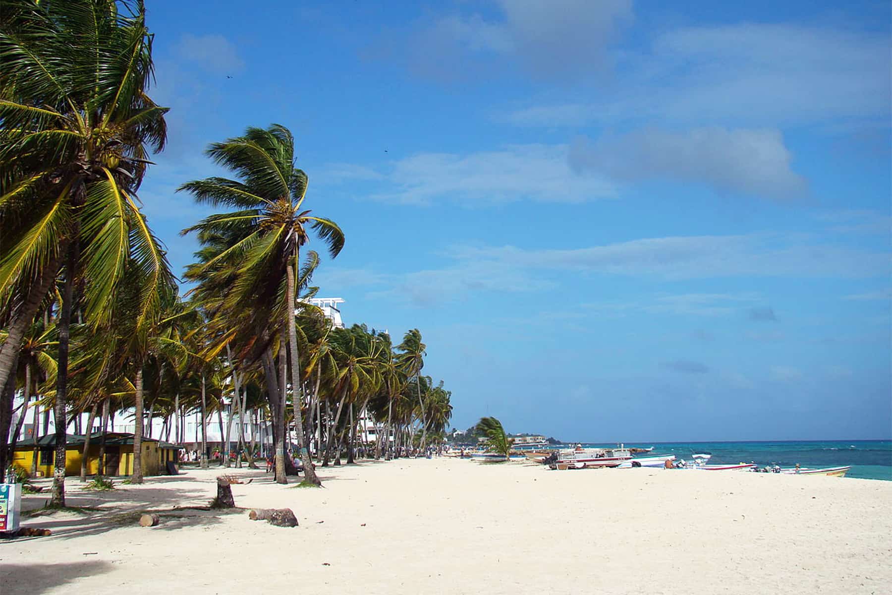 Avianca now offers San JoséSan Andrés flights on weekends The Tico