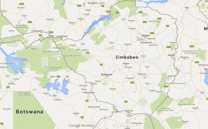 Forex zim