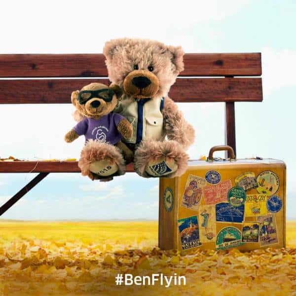 Travel bear PR campaign.