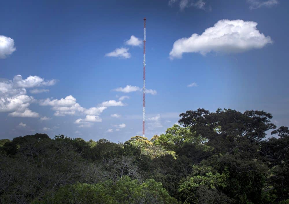 Brazil builds climate tower in pristine Amazon jungle