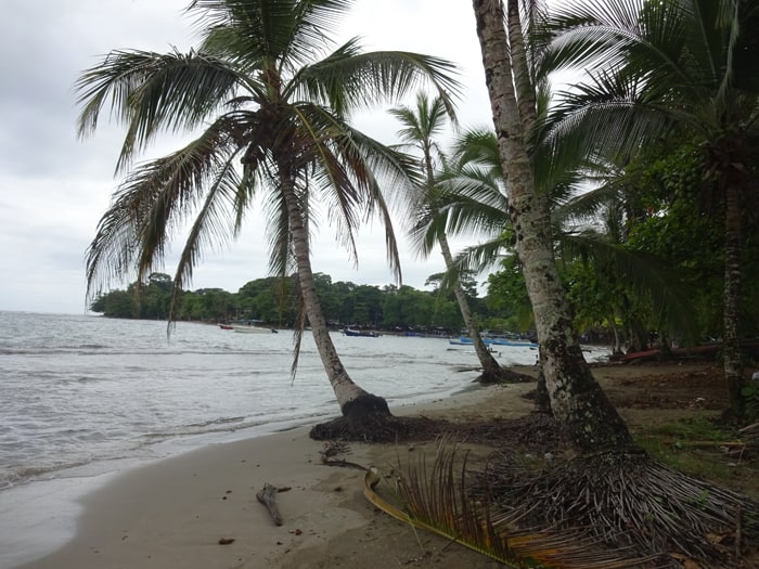 View of Puerto Viejo beach.