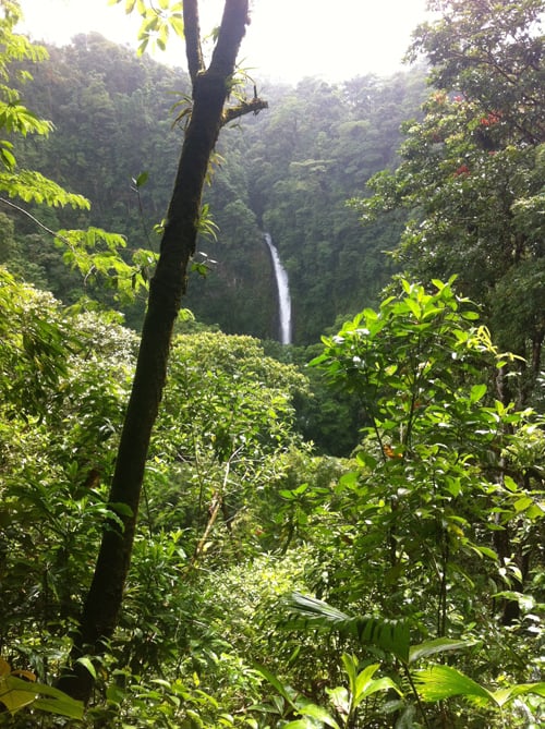 La Fortuna Waterfall from a distance.