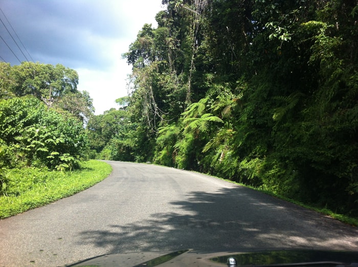 Road from Chacarita to Puerto Jiménez.