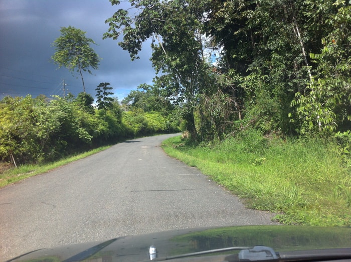 Road from Chacarita to Puerto Jiménez: Don't try this at night.