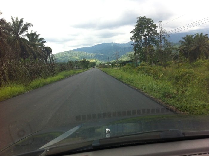 The road from Chacarita to Puerto Jiménez, much of which is unstriped.