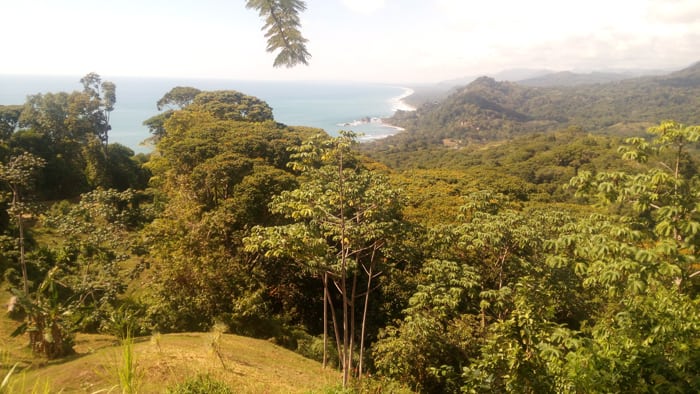 View from Pacific Edge in Dominicalito.