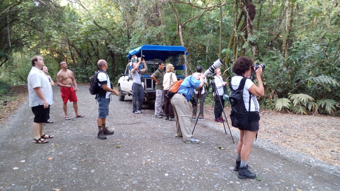 Checking out howler monkeys.