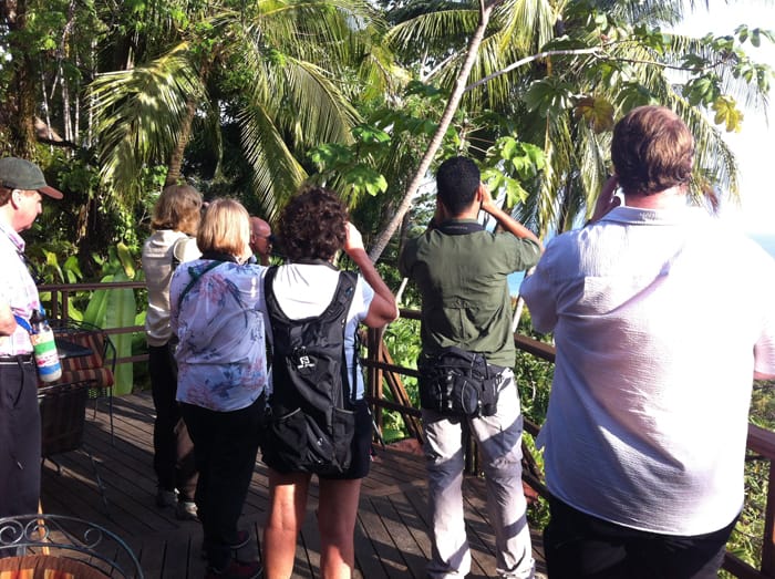On the observation deck at Lapa Ríos.