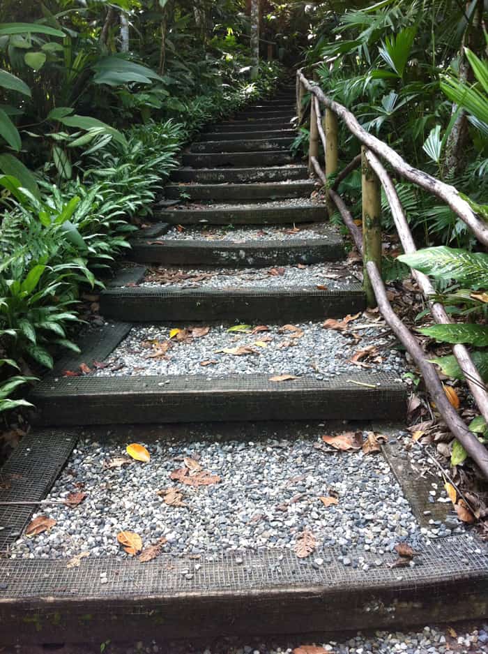 The hike from the lower bungalows at Lapa Ríos to the restaurant.