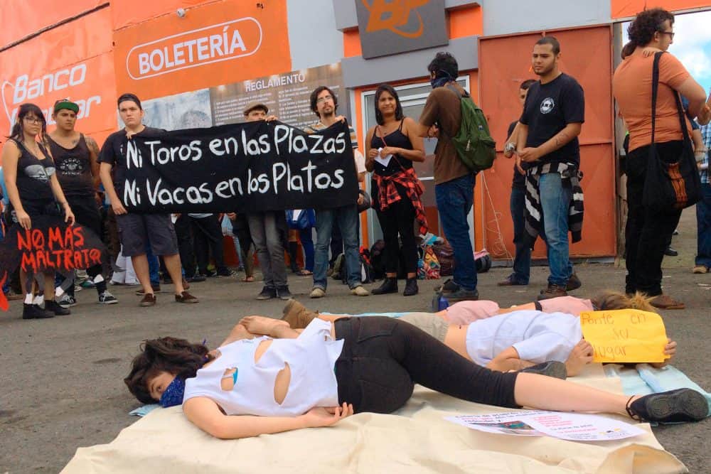 Animal cruelty Archives The Tico Times Costa Rica News Travel