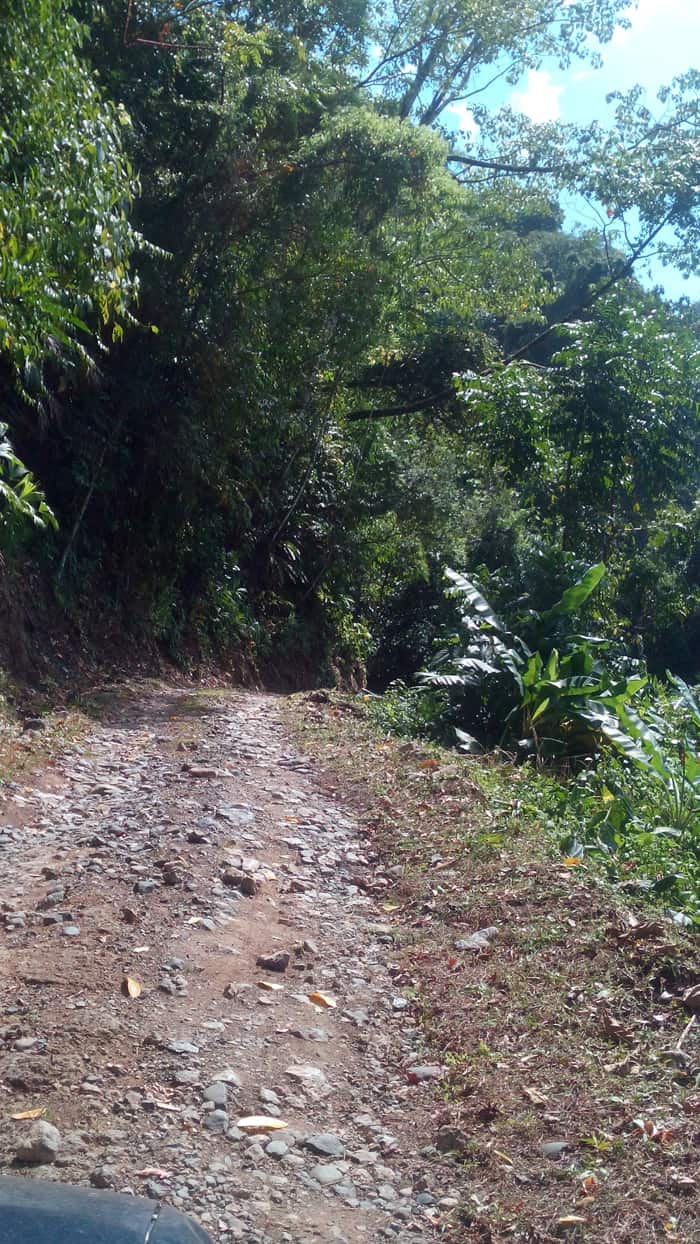 Steep hill on the way to Luna Lodge.