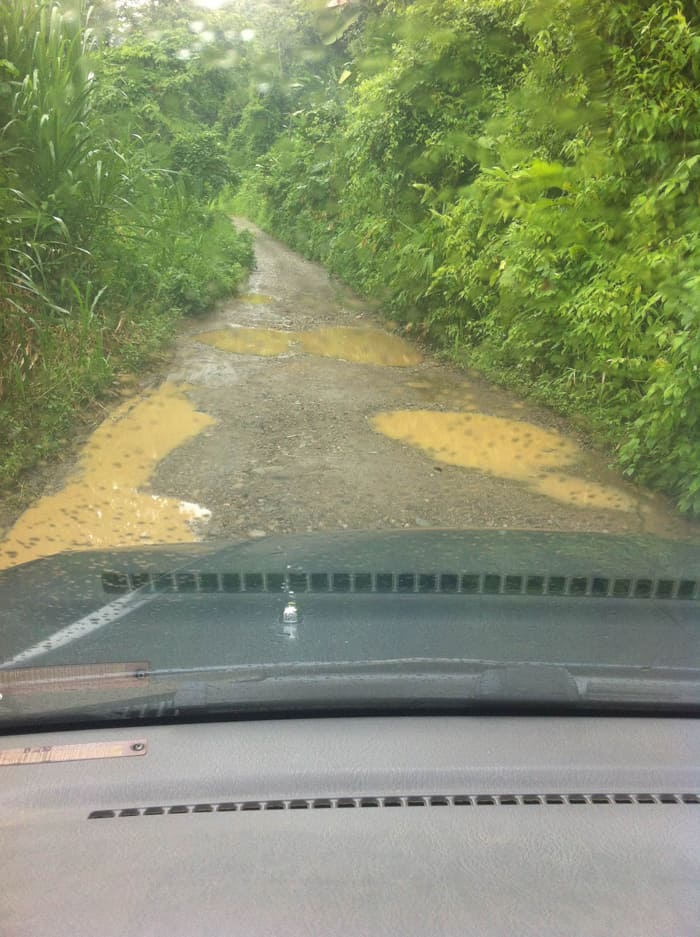 The road to Selva Bananito.