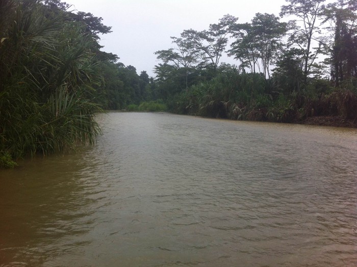 The Río Bananito looking upstream, the way we actually crossed.