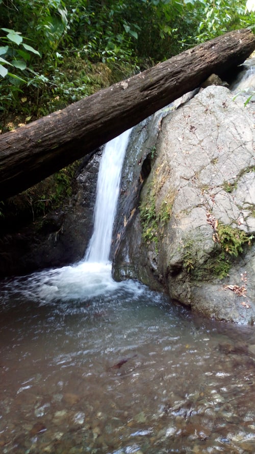 Great waterfall for a free massage.