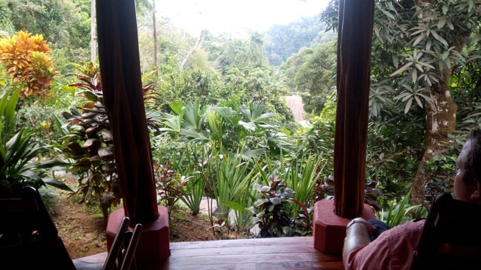 View from our bungalow.