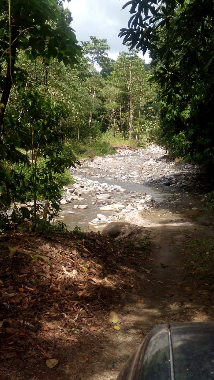 Stream crossing on the way to Luna Lodge.