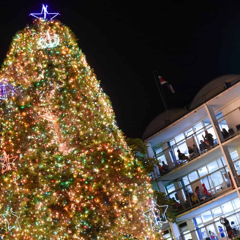PHOTOS San José Children’s Hospital lights up its giant Christmas tree
