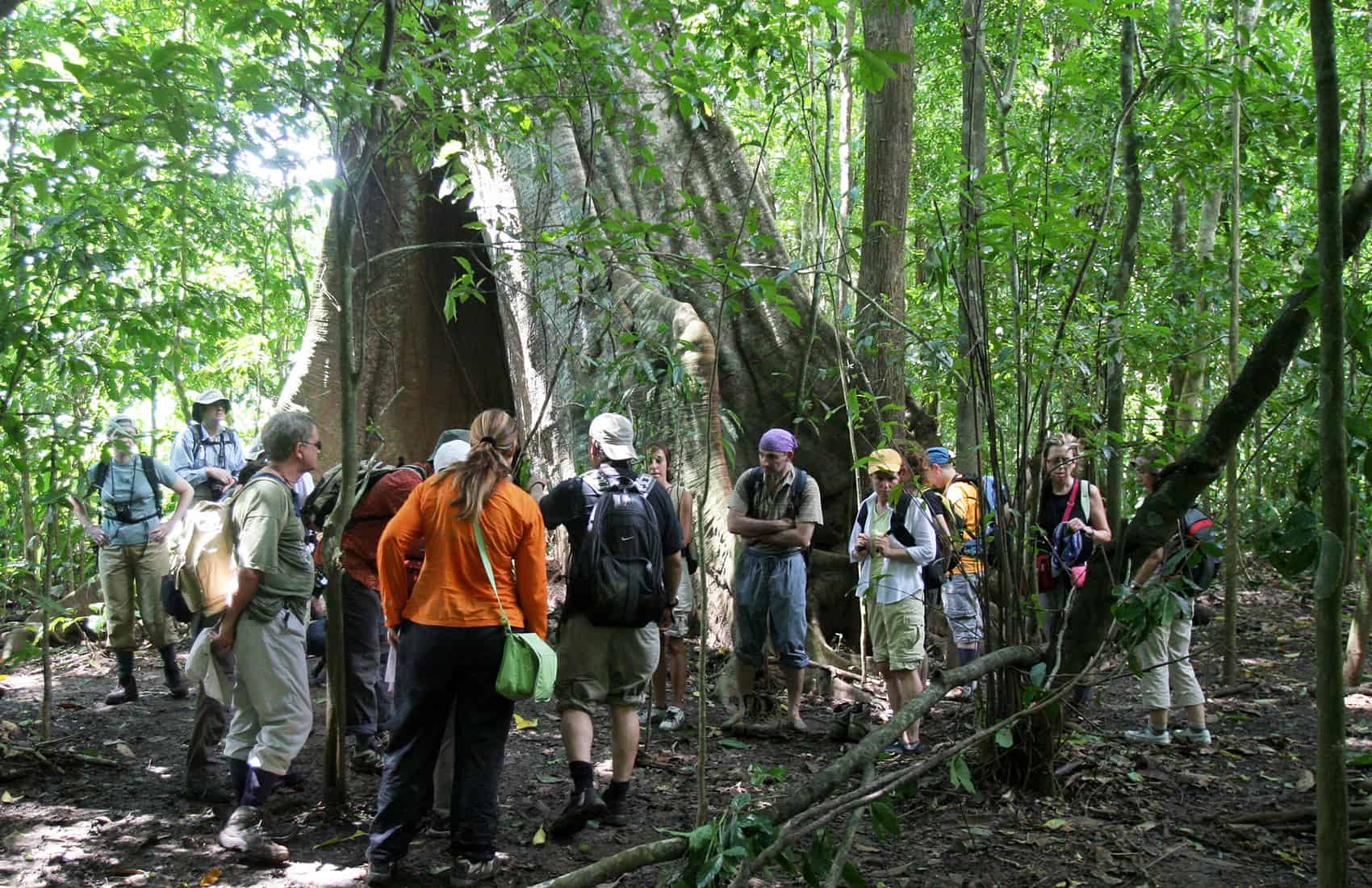 Î‘Ï€Î¿Ï„Î­Î»ÎµÏƒÎ¼Î± ÎµÎ¹ÎºÏŒÎ½Î±Ï‚ Î³Î¹Î± Costa Rica's  sustainable tourism to the country