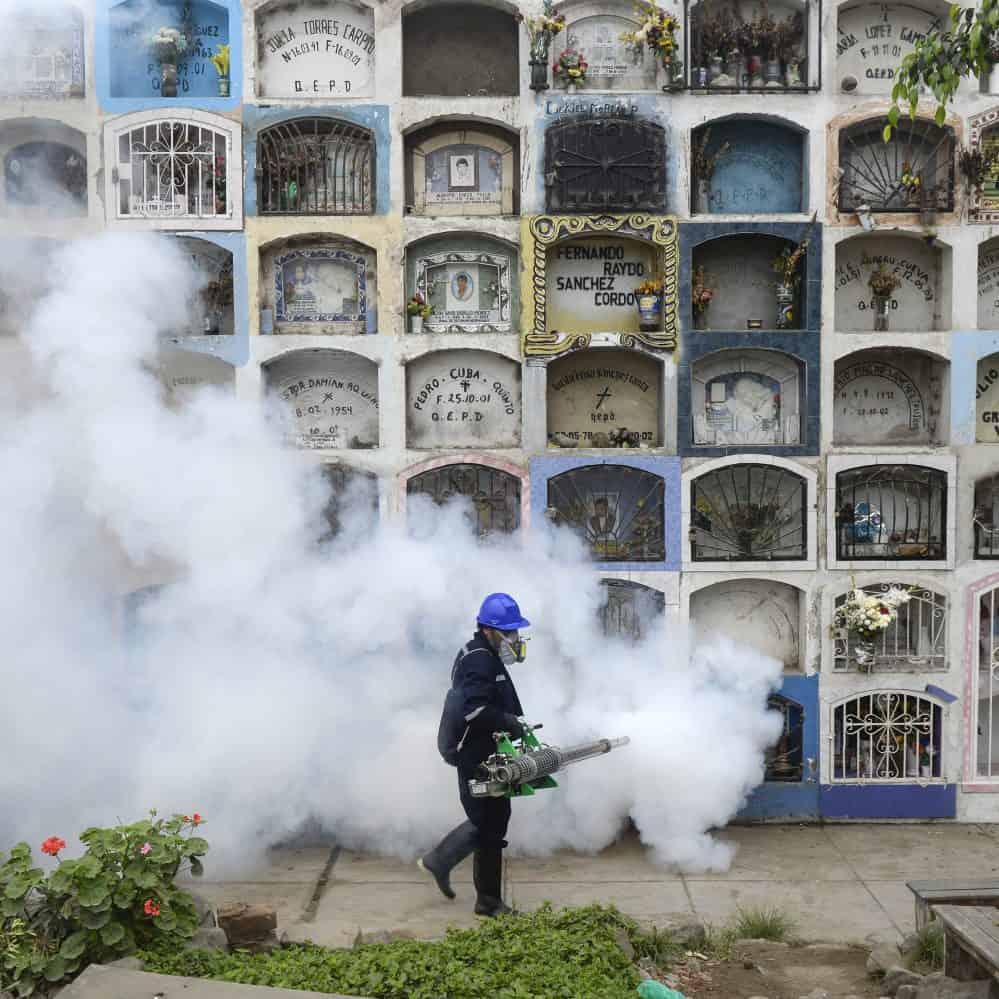 Zika virus US issues travel warning for pregnant women The Tico